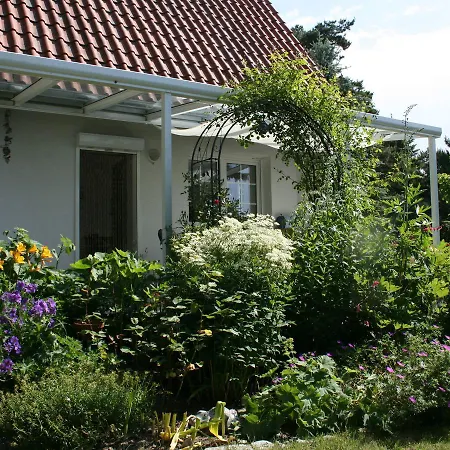 Salzwiese *