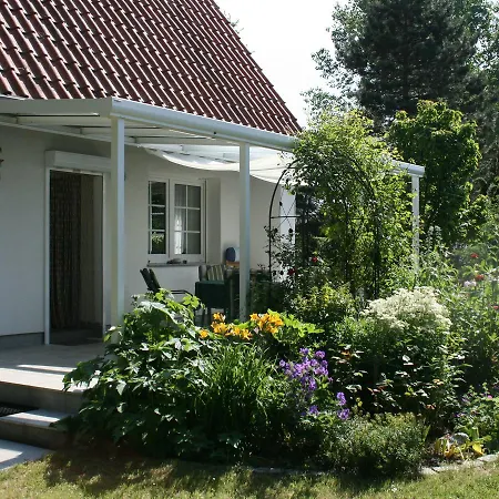 Salzwiese *