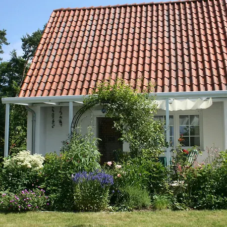 Salzwiese * Tessmannsdorf